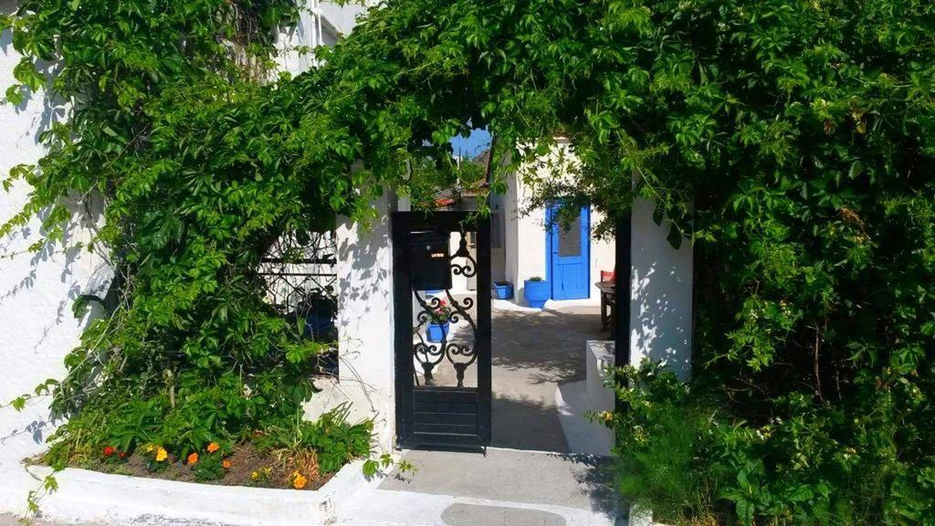 Kostas Studios Apartments - Ενοικιαζόμενα Δωμάτια Με Κουζινάκι มิรินา ภายนอก รูปภาพ